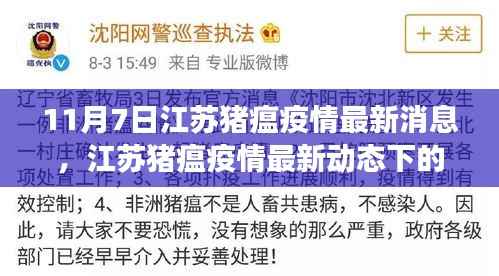 江苏猪瘟疫情最新动态下的美食秘境,小巷特色小店探秘