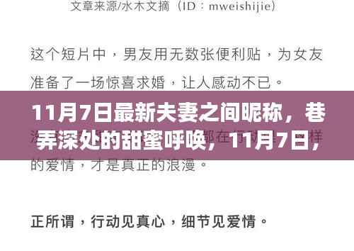 巷弄深处的甜蜜呼唤,夫妻间专属昵称与小店的浪漫故事