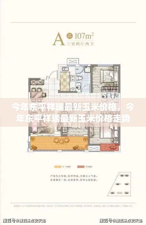 东平祥瑞最新玉米价格走势分析，今年趋势及其影响因素观察与观点解读