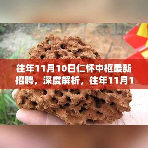 往年11月10日仁怀中枢招聘深度解析，一种独特视角的观察报告