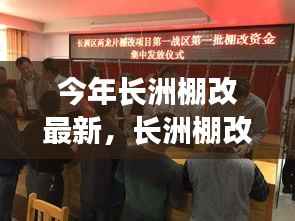 长洲棚改新篇章,温情日常与友情纽带今年最新进展