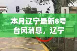 辽宁八月特色小店与台风8号的奇妙邅行，最新台风消息解读