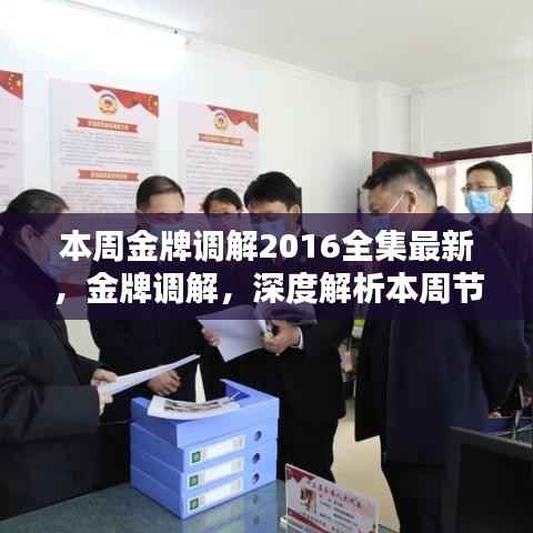 金牌调解深度解析,本周节目内容与影响回顾(最新全集)