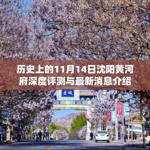 历史上的11月14日沈阳黄河府深度评测与最新消息介绍