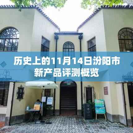 张弓拔弩 第5页