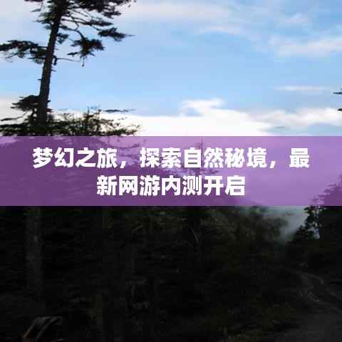 梦幻之旅,探索自然秘境,最新网游内测开启