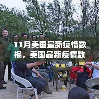 美国最新疫情数据解析指南,从初学者到进阶用户的参考指南(11月版)