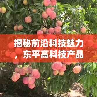 揭秘前沿科技魅力，东平高科技产品引领未来生活新篇章（11月15日最新资讯）