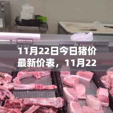全方位指导,最新猪价查询与进阶指南(11月22日最新价表更新)