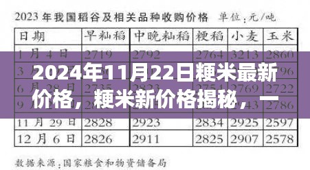 揭秘粳米最新价格,心灵之旅探寻宁静平和的自然美景