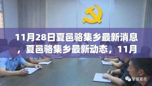 夏邑骆集乡最新动态深度观察与影响报道(11月28日更新)