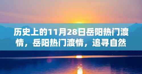 关于我们 第507页