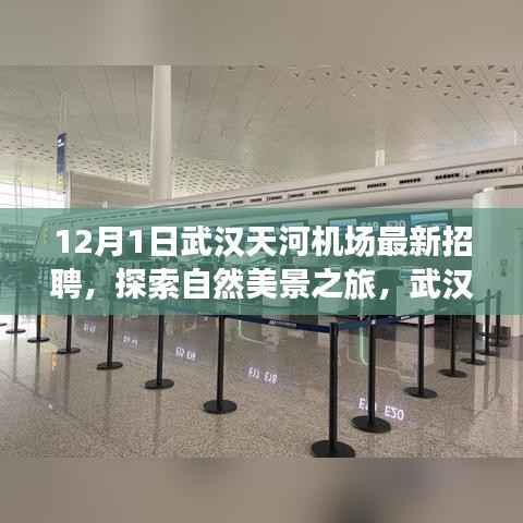 武汉天河机场最新招聘启航，探索自然美景之旅，心灵平静之旅的开始