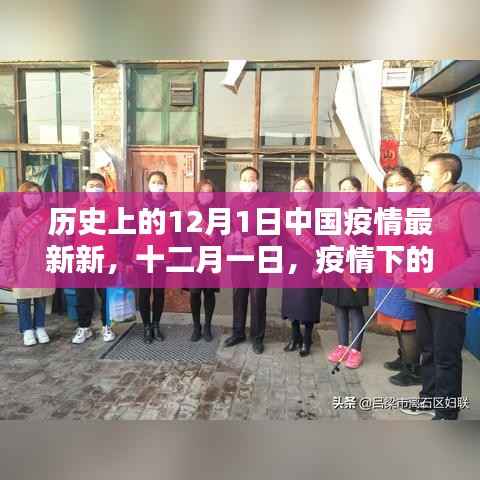 十二月一日,疫情下的温馨日常与家的纽带——中国疫情最新进展回顾
