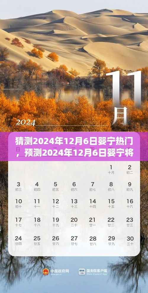 2024年12月6日婴宁热门趋势预测,前景展望与深度分析