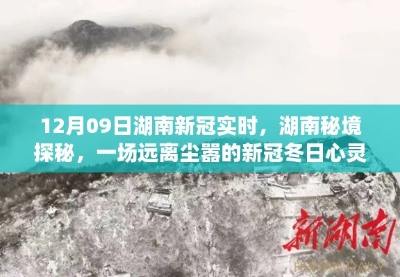 湖南新冠实时追踪与秘境探秘，冬日心灵之旅