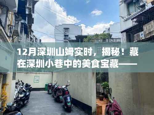 揭秘深圳山姆实时,小巷里的美食宝藏,体验十二月独特味蕾盛宴