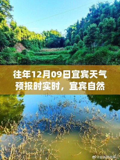 宜宾探索之旅，寻找宁静与和谐的自然美景天气预报实时播报