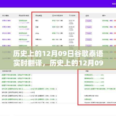 谷歌泰语实时翻译功能的发展历程与教程,历史上的12月09日回顾及如何使用该功能的指南