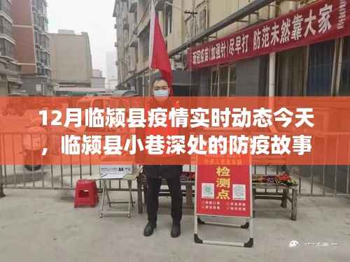 临颍县小巷深处的防疫故事,今日疫情动态与一家独特小店的经历