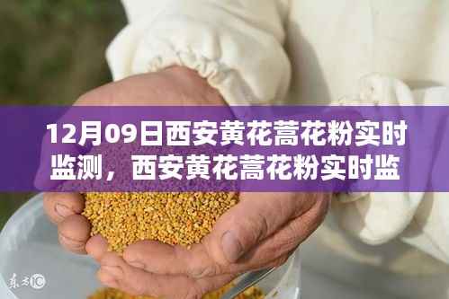 西安黄花蒿花粉实时监测,深度评测与详细介绍