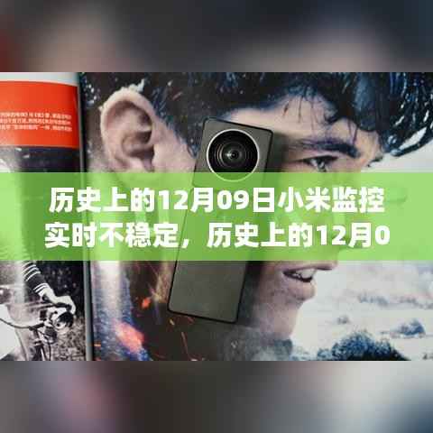 项目介绍 第399页