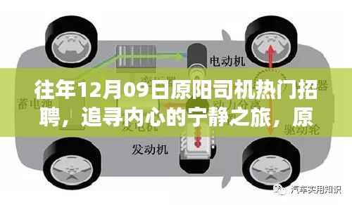 原阳司机招聘热潮背后的美景探索与心灵宁静之旅揭秘