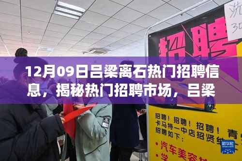 揭秘吕梁离石热门招聘市场,最新招聘信息深度解析(12月09日更新)