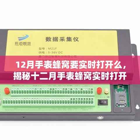 揭秘,十二月手表蜂窝实时打开背后的故事与重要性