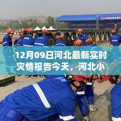 河北特色小店,灾情报告与独特风情之旅揭秘