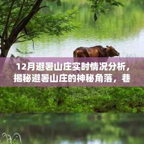 揭秘避暑山庄的神秘角落，深度探寻避暑胜地与巷弄美食之旅的实时情况分析