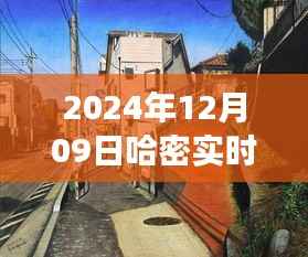 哈密小巷特色小店探秘,透过温度图片感受哈密韵味