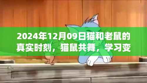 猫和老鼠的真实时刻,学习变革的旋律与自信成就之歌(猫鼠共舞,2024年12月9日)