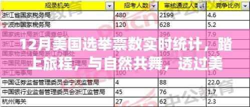 美国大选日与自然美景，实时票数统计下的自然之旅