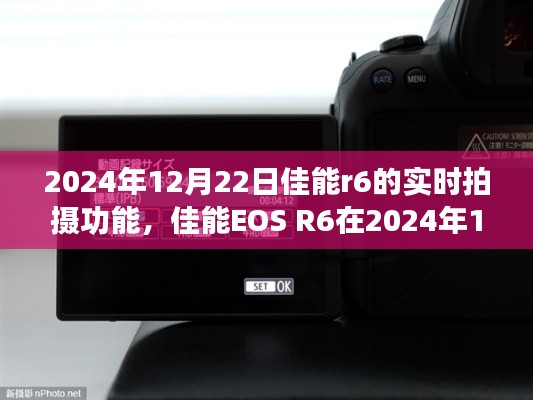 佳能EOS R6实时拍摄功能深度评测与介绍，2024年12月22日体验分享