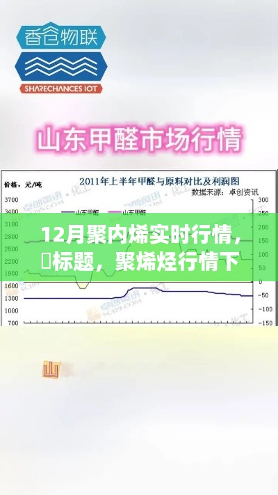 聚烯烃行情下的市场洞察，探寻内心宁静与自然魔力的奇妙旅程