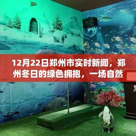 郑州冬日的绿色之旅,探寻自然美景的旅程在郑州实时更新中