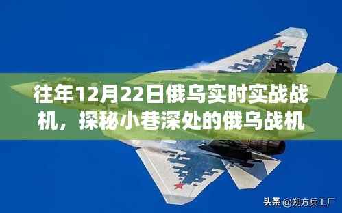 探秘俄乌战机实战体验馆，军事盛宴隐匿于喧嚣中的实战演练