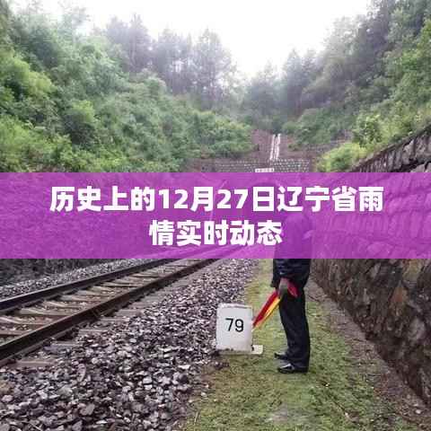 辽宁省雨情实时动态，历史12月27日回顾