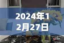 盆花热潮来袭，2024年12月27日精选文案