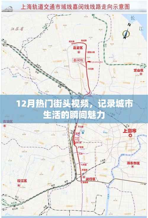 街头魅力瞬间，十二月城市生活热门视频