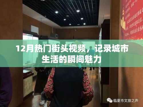 街头魅力瞬间,十二月城市生活热门视频