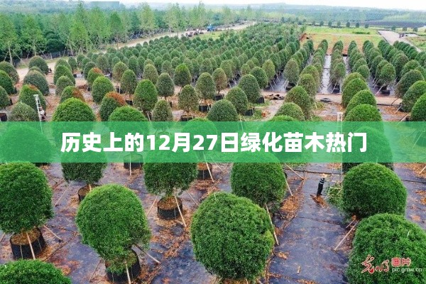 关于我们 第297页