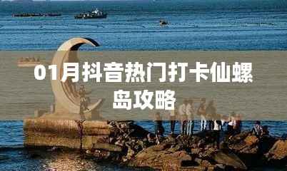 百鸟齐鸣 第3页