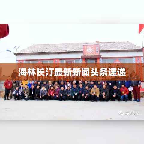 海林长汀最新新闻头条速递