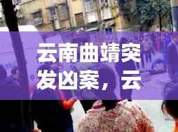 云南曲靖突发凶案,云南曲靖特大刑事案件