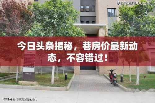 漫天飞舞 第2页