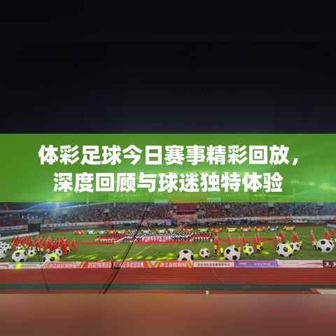 项目介绍 第247页