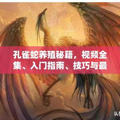 孔雀蛇养殖秘籍,视频全集、入门指南、技巧与最新趋势一网打尽