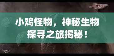 关于我们 第244页